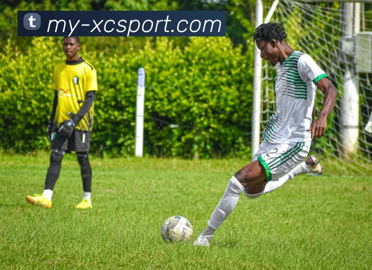 App Interface Preview