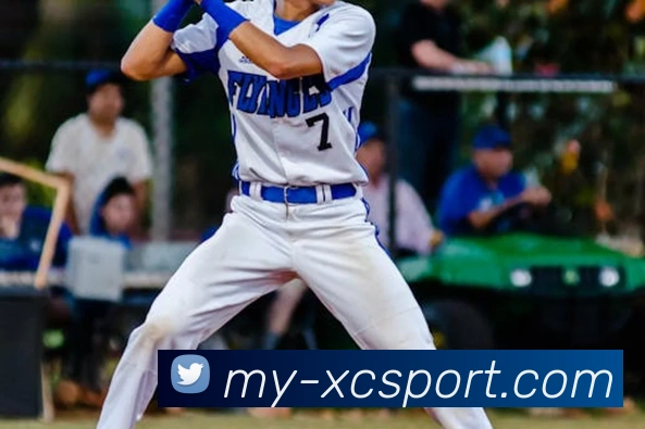 杏彩体育APP 封面图